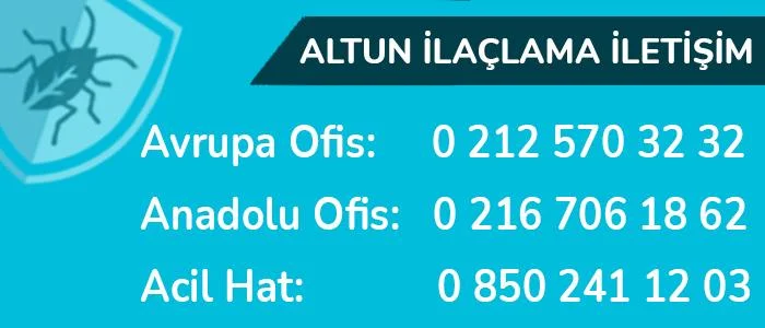 istanbul-böcek-ilaçlama, altun-ev-ilaçlama, böcek-ilaçlama