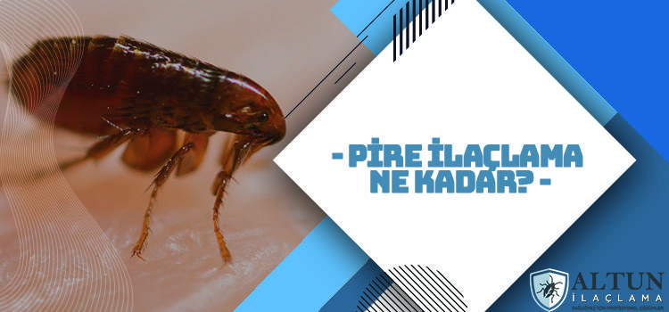 pire ilaclama ne kadar pire ilaclama ne kadar