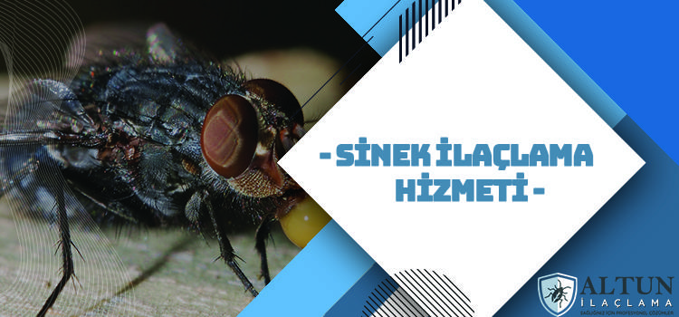 sinek ilaclama hizmeti sinek ilaclama hizmeti